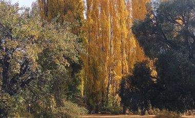 Excelente casa en Rincon Radales San Martin de los andes - Neuquen