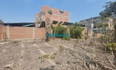 Terrenos Tratamiento Especial Venta CAL.  Los Ficus esquina Pasaje Los Ficus - PUENTE PIEDRA