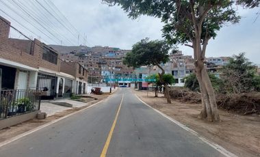 Terrenos Tratamiento Especial Venta CAL.  Los Ficus esquina Pasaje Los Ficus - PUENTE PIEDRA