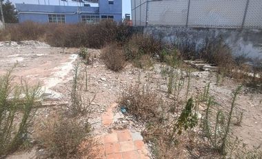 Lote Terreno comercial en Venta