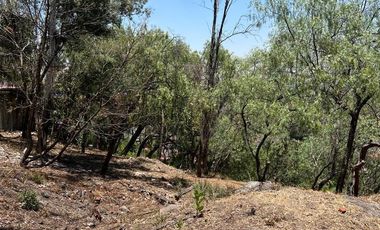 Dos terrenos en venta, Jardines del Pedregal