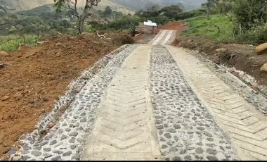 Se venden 5 lotes en medio Dapa