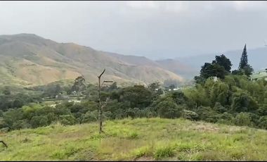 Se venden 5 lotes en medio Dapa