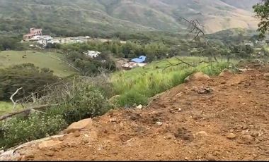 Se venden 5 lotes en medio Dapa