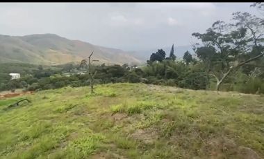 Se venden 5 lotes en medio Dapa