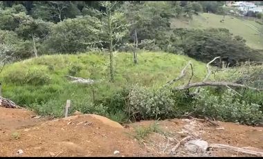 Se venden 5 lotes en medio Dapa