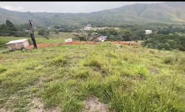 Se venden 5 lotes en medio Dapa