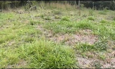 Se venden 5 lotes en medio Dapa