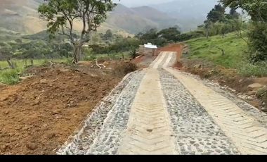 Se venden 5 lotes en medio Dapa