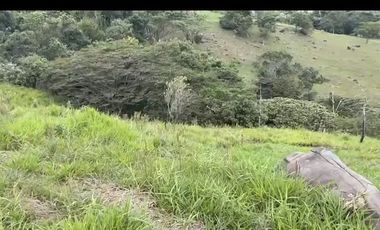 Se venden 5 lotes en medio Dapa