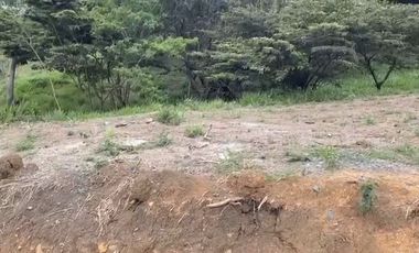 Se venden 5 lotes en medio Dapa