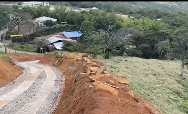 Se venden 5 lotes en medio Dapa