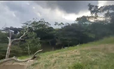 Se venden 5 lotes en medio Dapa