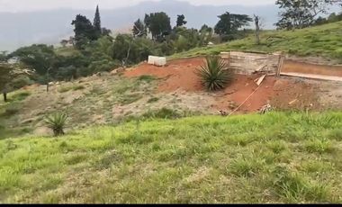 Se venden 5 lotes en medio Dapa
