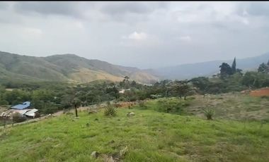 Se venden 5 lotes en medio Dapa