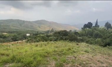 Se venden 5 lotes en medio Dapa