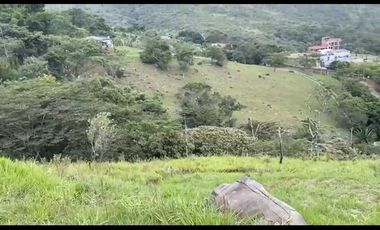 Se venden 5 lotes en medio Dapa