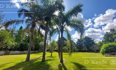 Terreno en  venta parcela n 15
