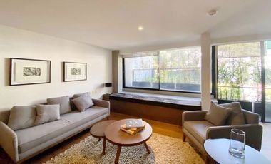 GARDEN HOUSE POLANCO ALEJANDRO DUMAS