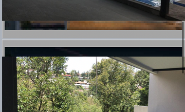 BOSQUE DE FRAMBOYANES