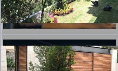 BOSQUE DE FRAMBOYANES