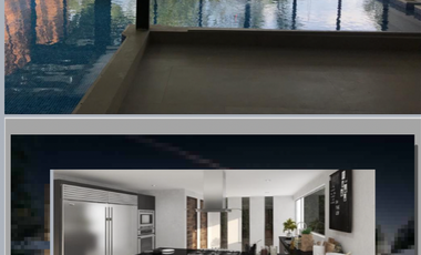 BOSQUE DE FRAMBOYANES