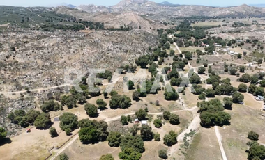 TERRENO EN VENTA DE 10 HA, EN EL HONGO, B.C.