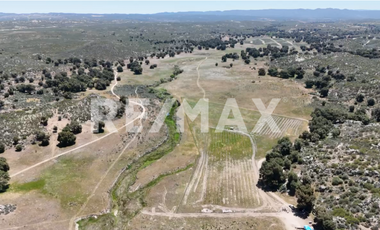 TERRENO EN VENTA DE 10 HA, EN EL HONGO, B.C.