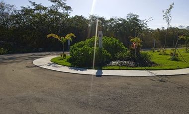 Terreno en Venta en Chicxulub, Yucatán