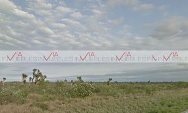 Salinas victoria