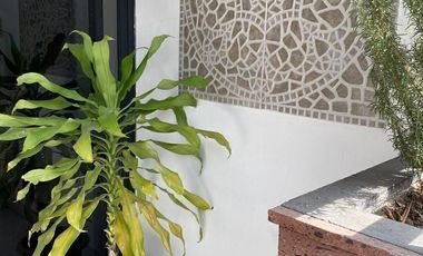Departamento en Renta, Jardines de Monterrey, 1 Recámara