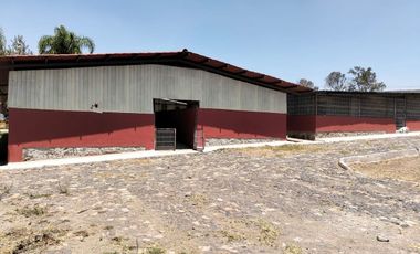 TERRENO CON CONSTRUCCIÓN EN VENTA - C. EL SALTO-CHAPALA