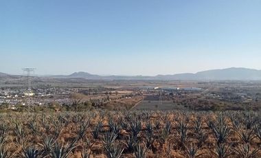 TERRENO CON CONSTRUCCIÓN EN VENTA - C. EL SALTO-CHAPALA