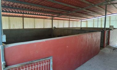 TERRENO CON CONSTRUCCIÓN EN VENTA - C. EL SALTO-CHAPALA