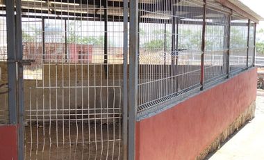 TERRENO CON CONSTRUCCIÓN EN VENTA - C. EL SALTO-CHAPALA