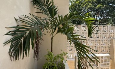 Casa Colorada en venta en el Centro,  Mérida Yucatán