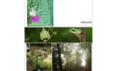 TERRENO EN VENTA TAMAULIPAS EL ENCANTO
