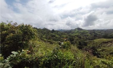 Se Vende Finca de 35 HAS  Santa Rosa-La Chorrera (DR)