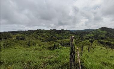 Se Vende Finca de 35 HAS  Santa Rosa-La Chorrera (DR)