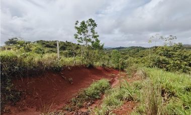 Se Vende Finca de 35 HAS  Santa Rosa-La Chorrera (DR)