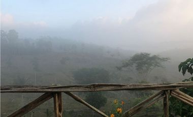 FINCA CON CASA DE 2 PISO / CAPIRA / 38 HECTAREA / RIO Y OJO DE AGUA JC