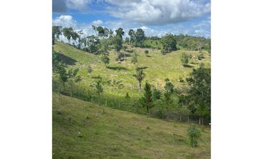 FINCA CON CASA DE 2 PISO / CAPIRA / 38 HECTAREA / RIO Y OJO DE AGUA JC