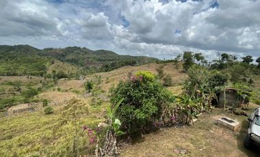 FINCA CON CASA DE 2 PISO / CAPIRA / 38 HECTAREA / RIO Y OJO DE AGUA JC