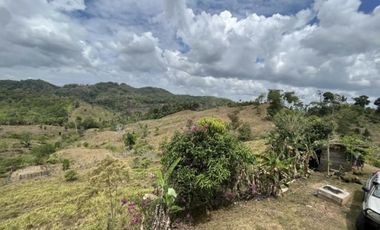 FINCA CON CASA DE 2 PISO / CAPIRA / 38 HECTAREA / RIO Y OJO DE AGUA JC