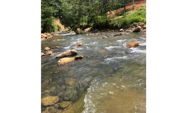 FINCA CON CASA DE 2 PISO / CAPIRA / 38 HECTAREA / RIO Y OJO DE AGUA JC