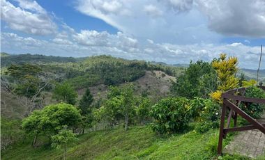 FINCA CON CASA DE 2 PISO / CAPIRA / 38 HECTAREA / RIO Y OJO DE AGUA JC