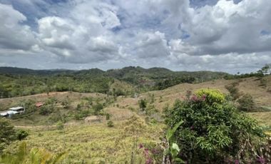 FINCA CON CASA DE 2 PISO / CAPIRA / 38 HECTAREA / RIO Y OJO DE AGUA JC