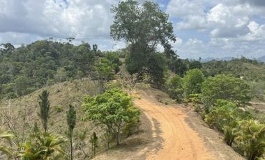 FINCA CON CASA DE 2 PISO / CAPIRA / 38 HECTAREA / RIO Y OJO DE AGUA JC