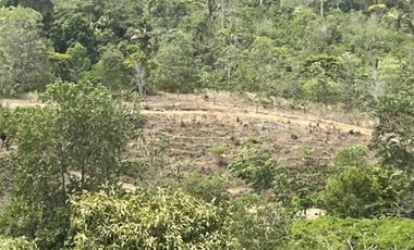 FINCA CON CASA DE 2 PISO / CAPIRA / 38 HECTAREA / RIO Y OJO DE AGUA JC