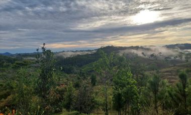 FINCA CON CASA DE 2 PISO / CAPIRA / 38 HECTAREA / RIO Y OJO DE AGUA JC